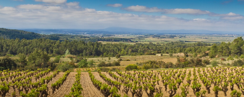 Minervois Red Wine, Between Grenache And Carignan | Hecht & Bannier