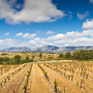 Tautavel roussillon